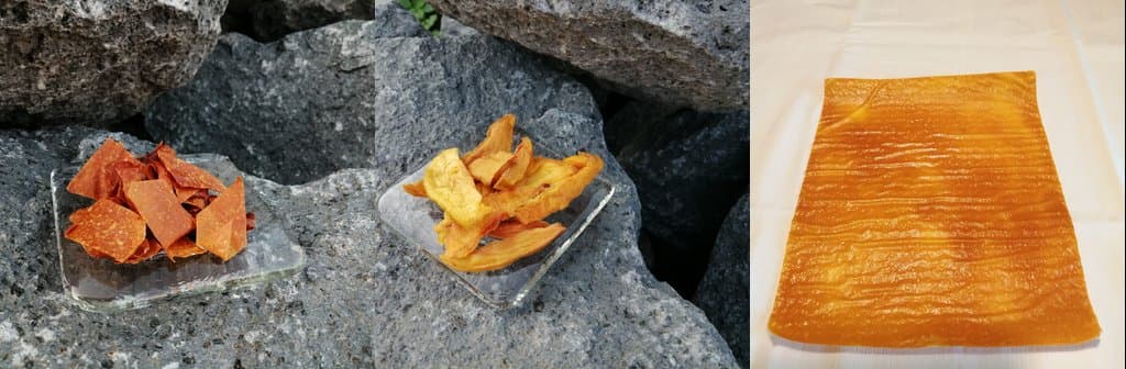 Vari tipi di mango disidratato: fette, fogli e foglio